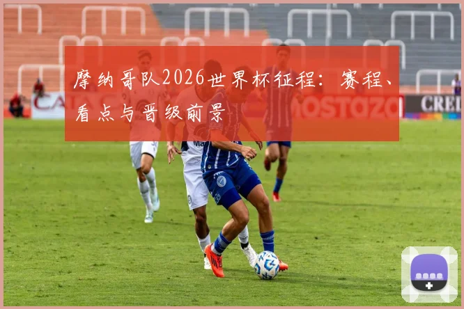 摩纳哥队2026世界杯征程:赛程、看点与晋级前景